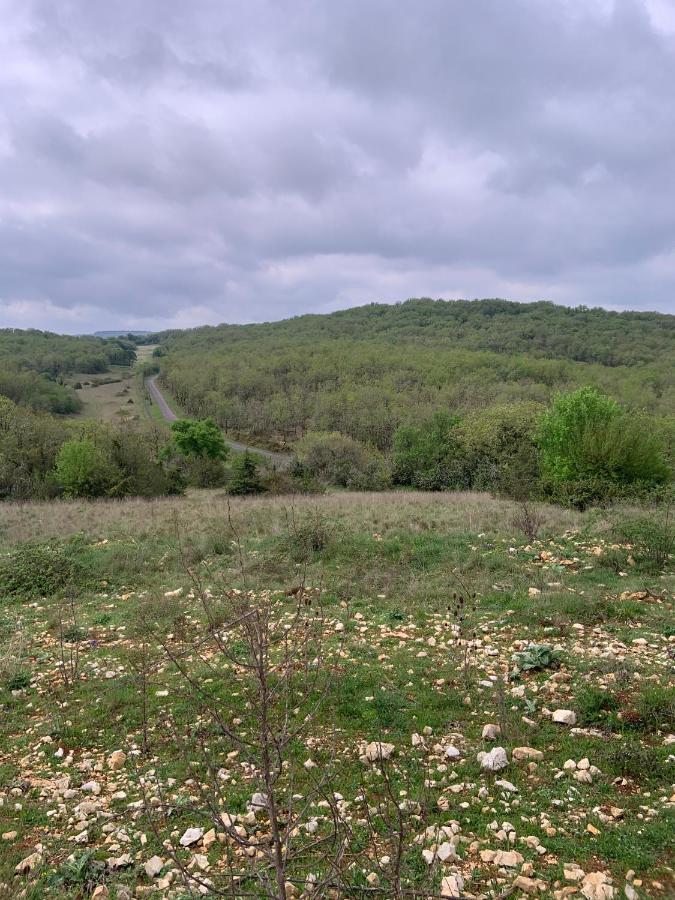 gite du domaine du Mas de Pagés Marcilhac-sur-Cele Extérieur photo